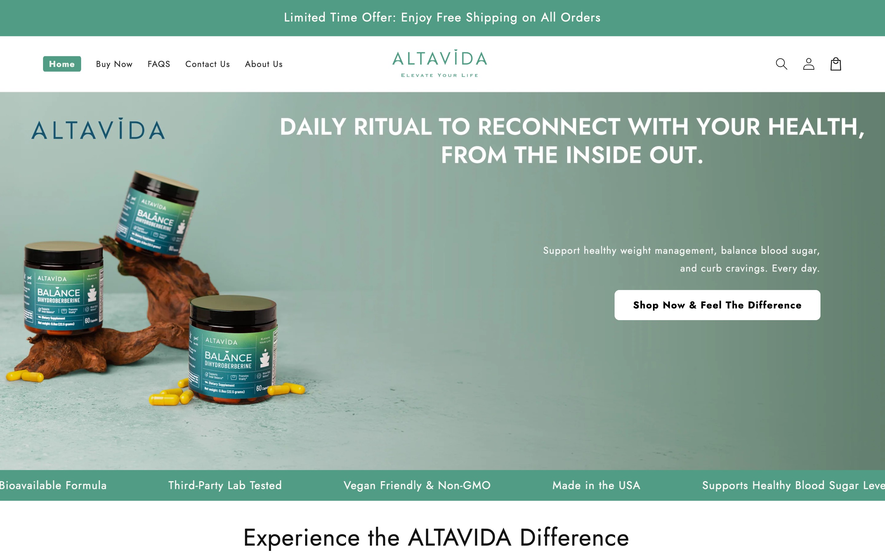 Website we built for Alta Vida