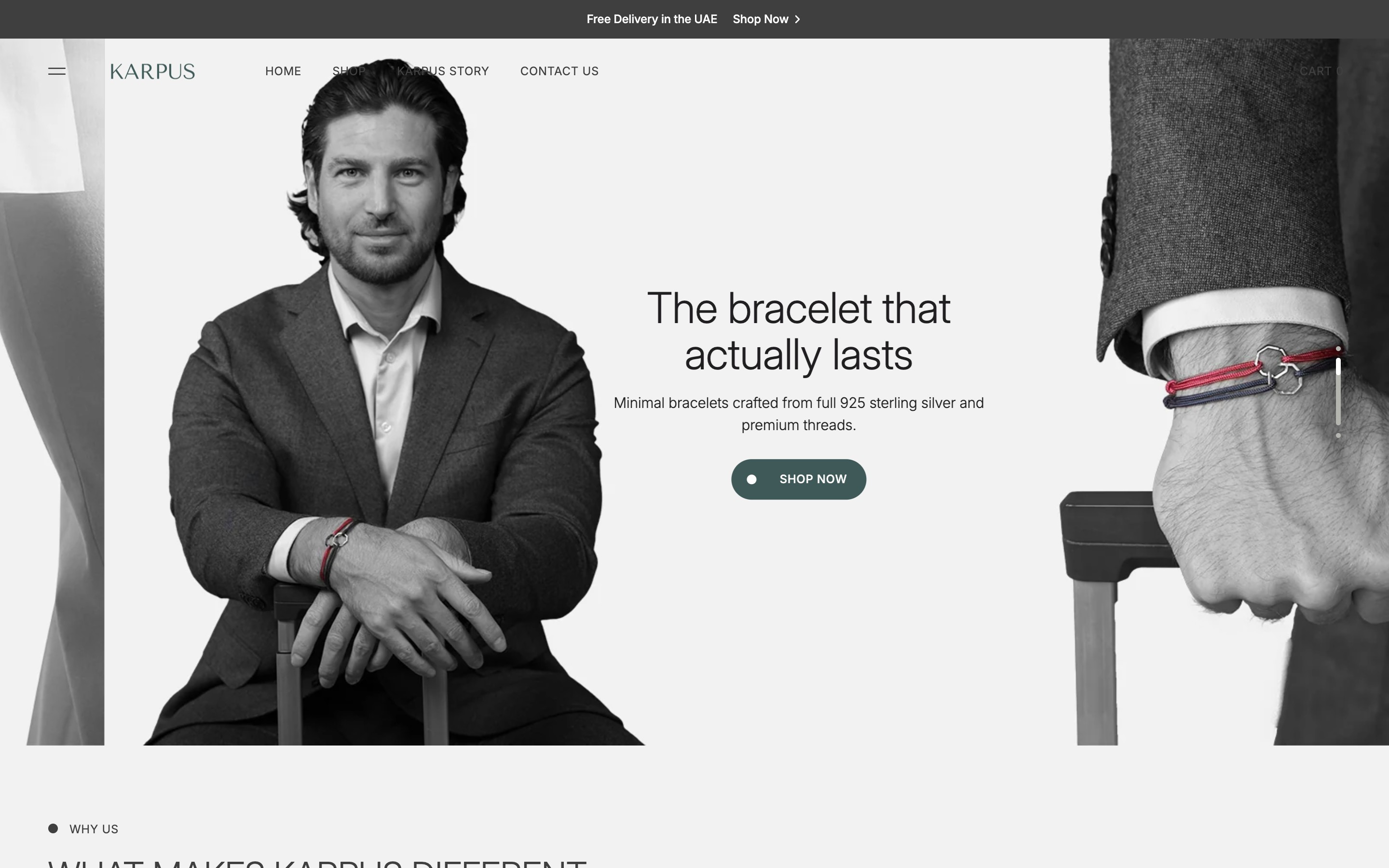 Website we built for Karpus